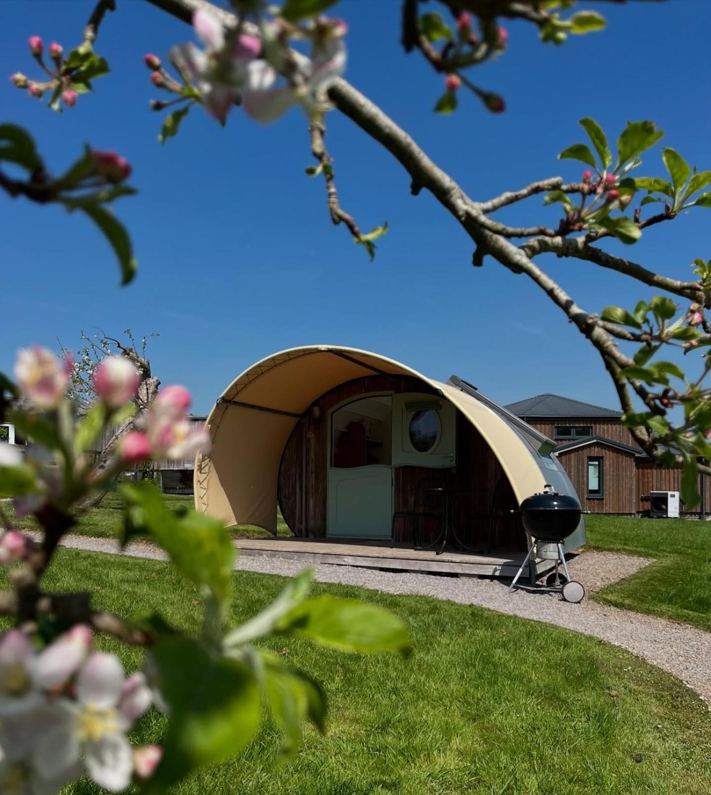 Middlewick Holiday Cottages Glastonbury Buitenkant foto