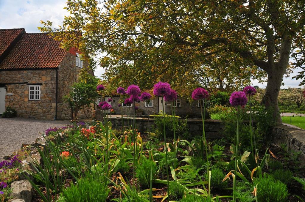 Middlewick Holiday Cottages Glastonbury Buitenkant foto